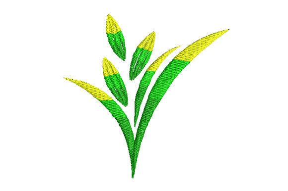 3 Colors of Grass